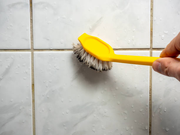 Best Toxic Mold Removal  in Germantown, OH