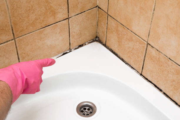 Best Mold Testing  in Germantown, OH